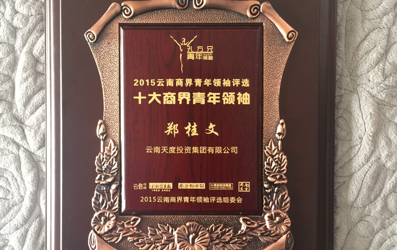 在“互聯(lián)網(wǎng)大時代”的背景下，天度作為本土很大和很有名的互聯(lián)網(wǎng)服務(wù)企業(yè)，為近萬家傳統(tǒng)企業(yè)轉(zhuǎn)型互聯(lián)網(wǎng)+提供了服務(wù)和幫助，獲此獎項后，我們將再接再厲，創(chuàng)造更高的社會價值